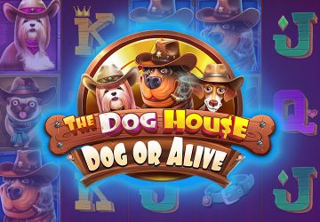 NOVOMATIC - игровой автомат онлайн от Various с RTP 95.97%